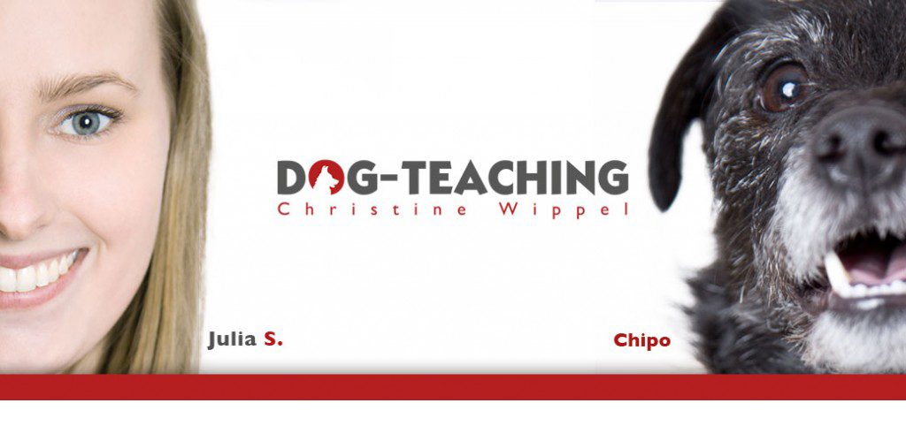 dog-teaching